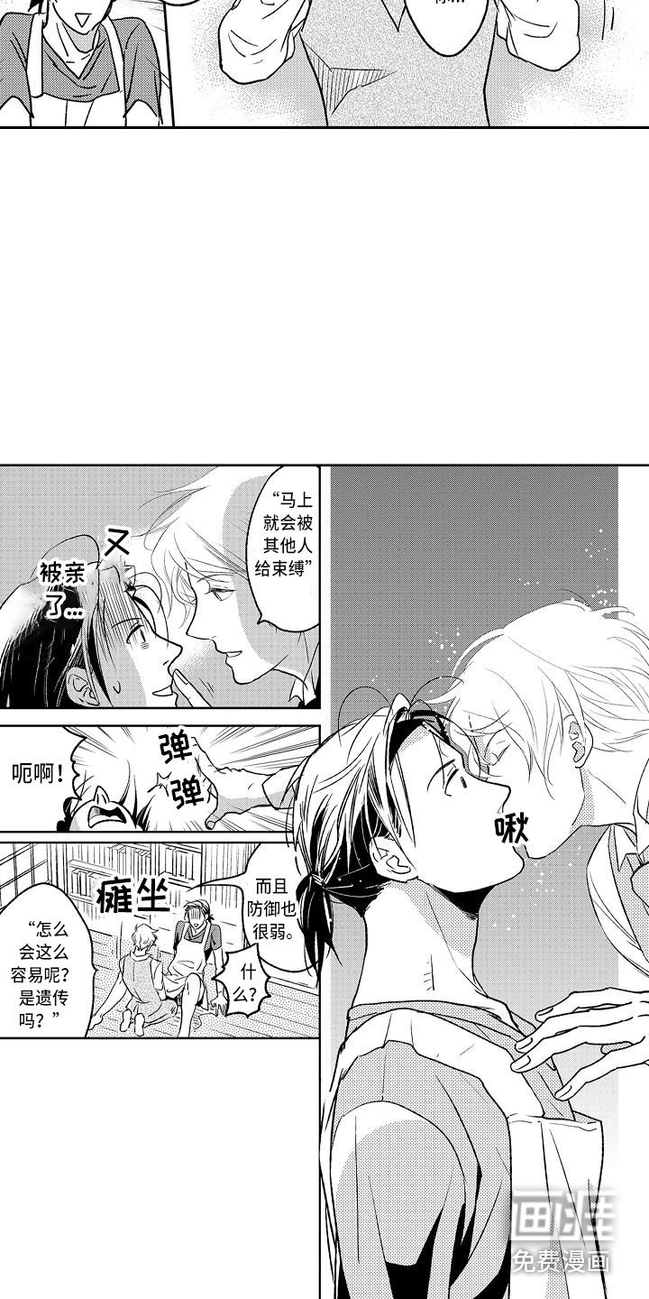 第6章：书柜