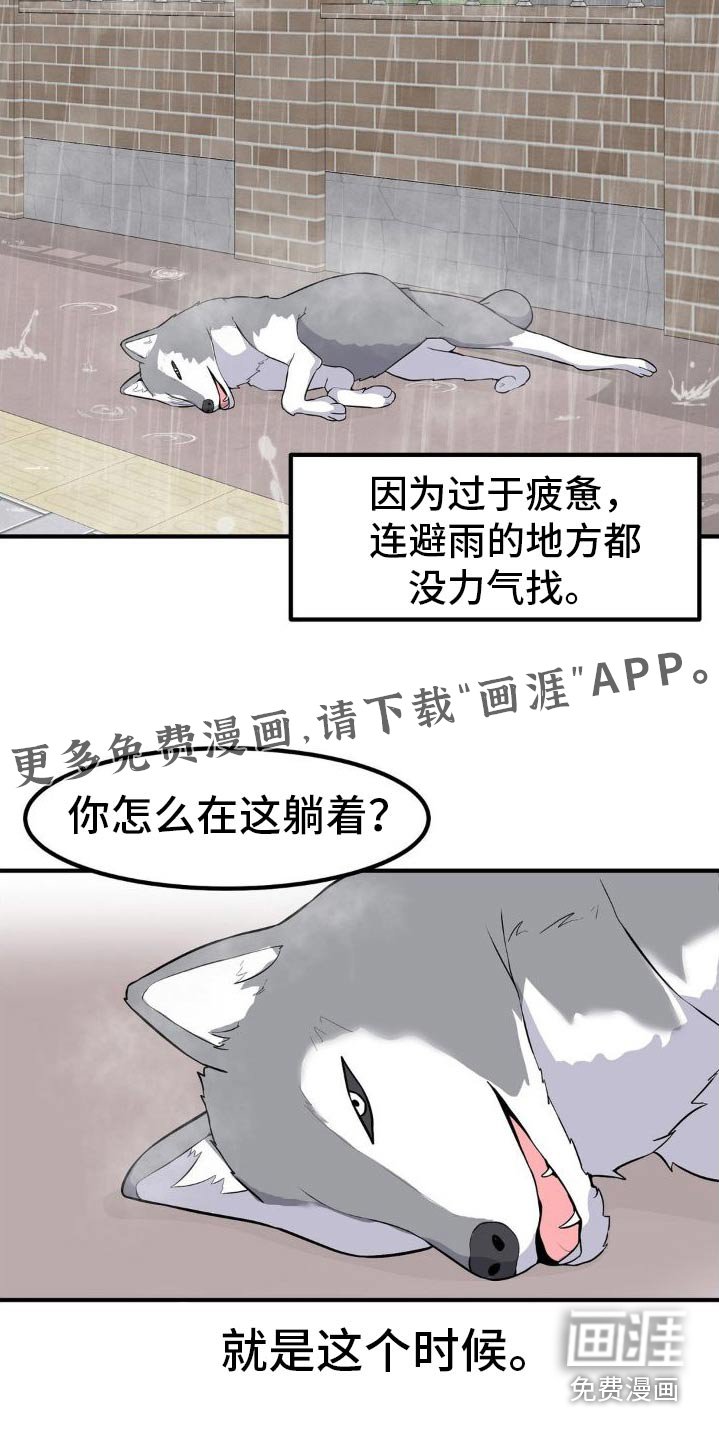 第127章：挺喜欢的