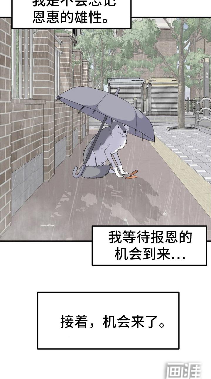 第128章：报恩
