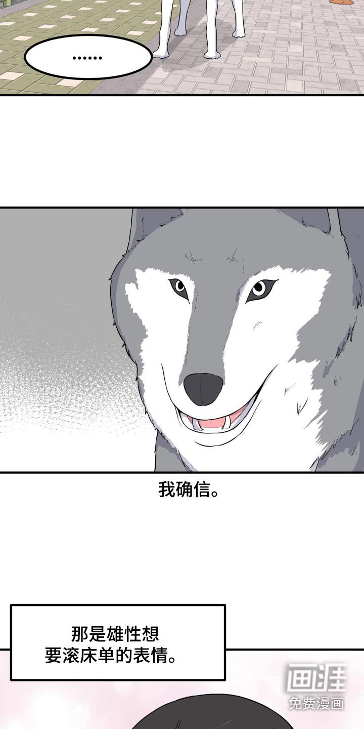 第132章：偷袭