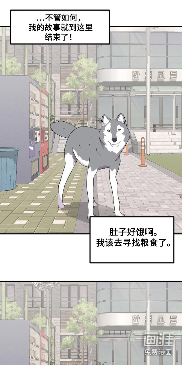第132章：偷袭