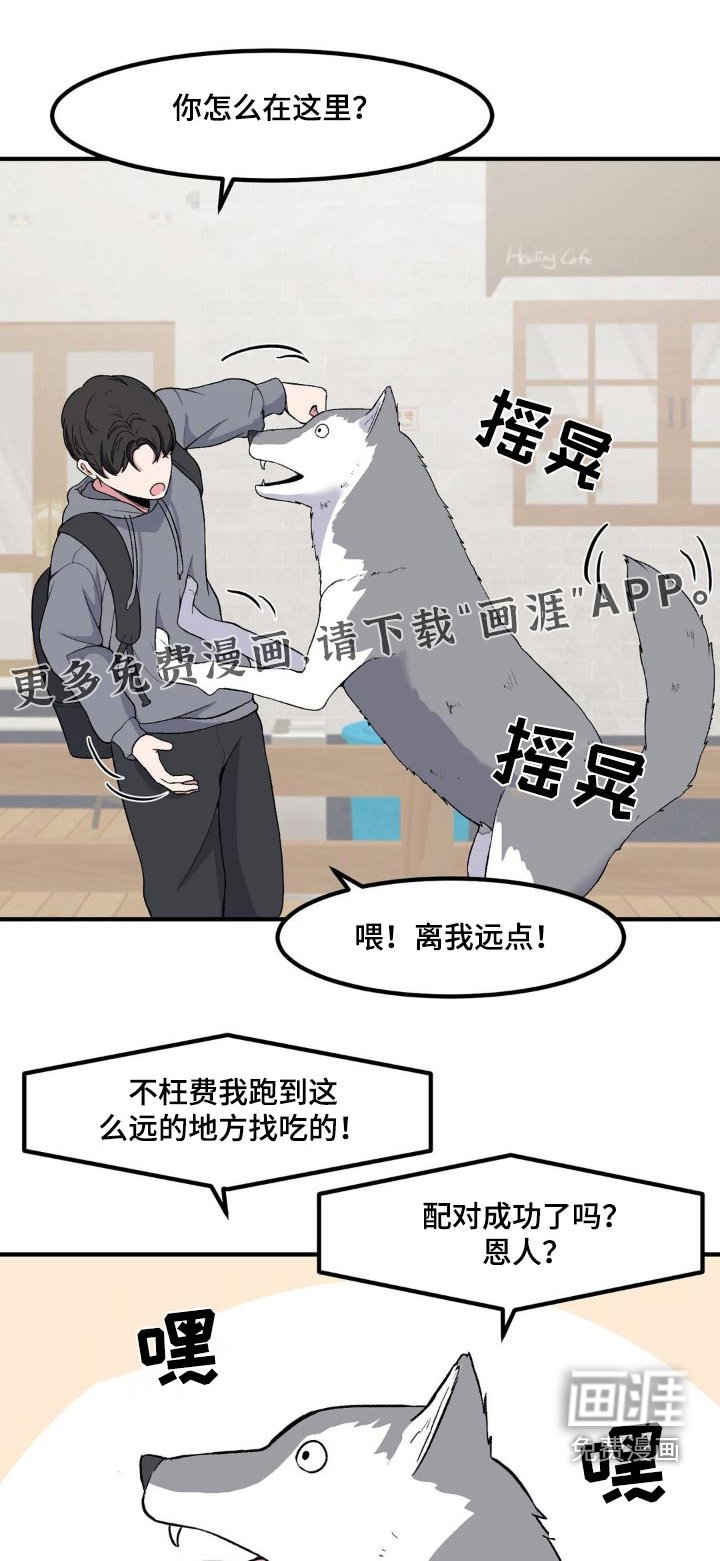 第170章：坏狗