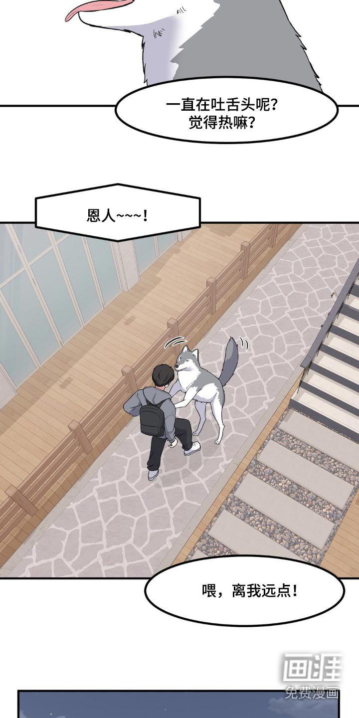 第170章：坏狗