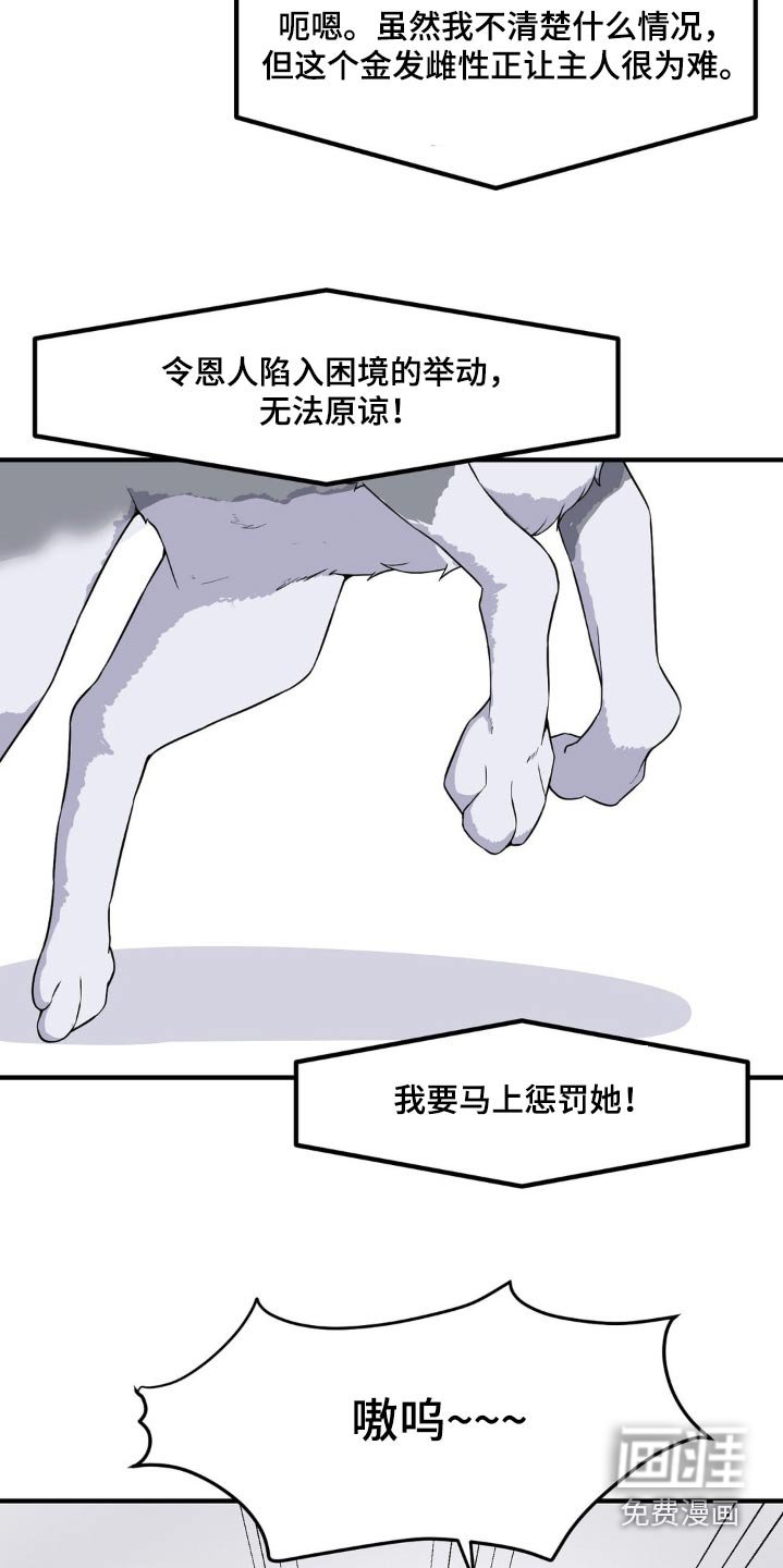第170章：坏狗