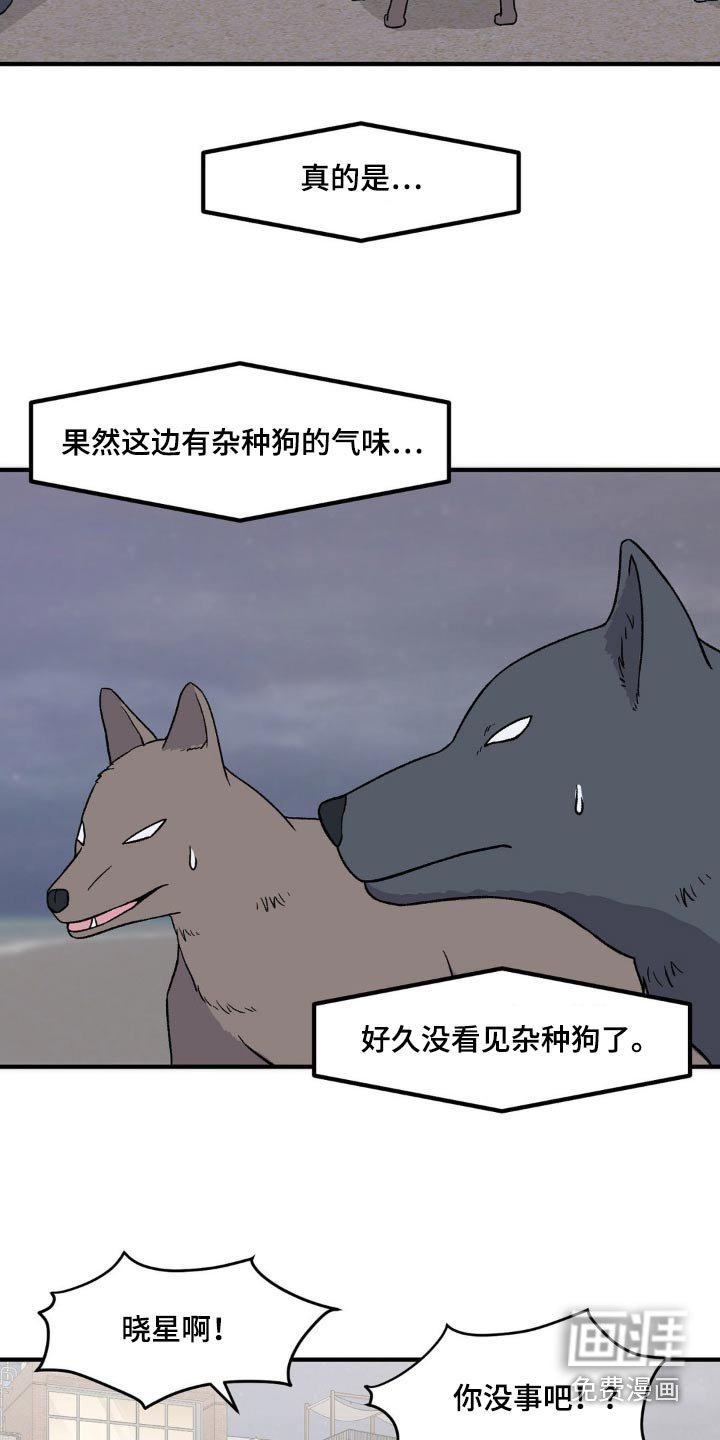 第173章：还挺厉害