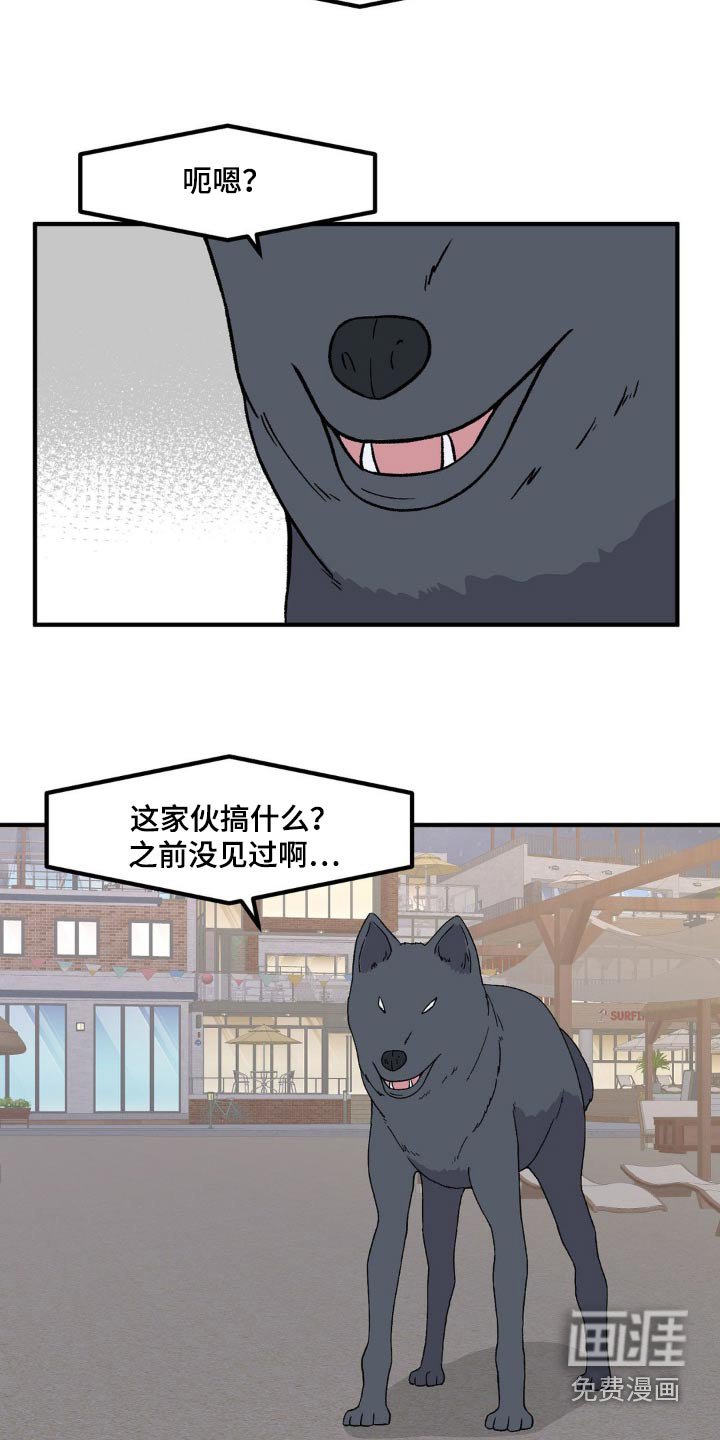 第173章：还挺厉害