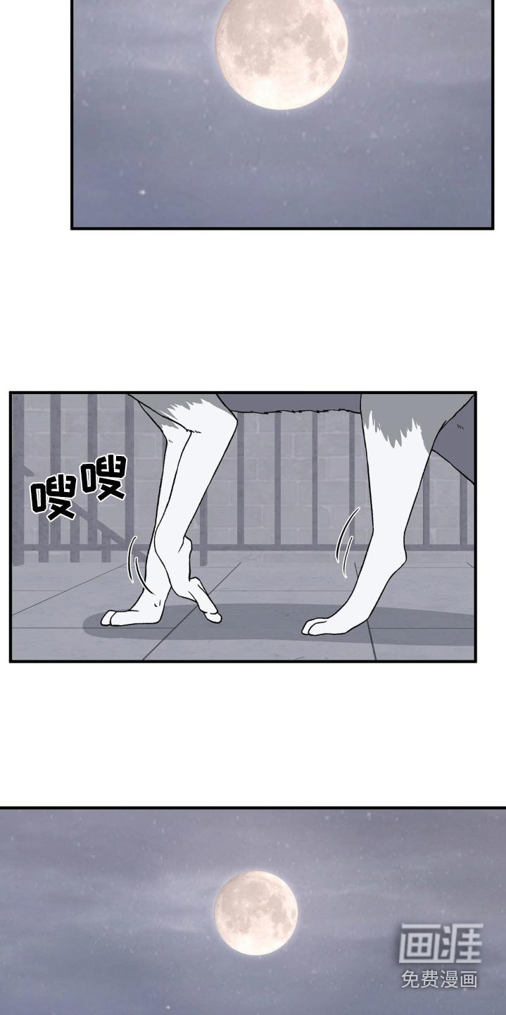第175章：干嘛