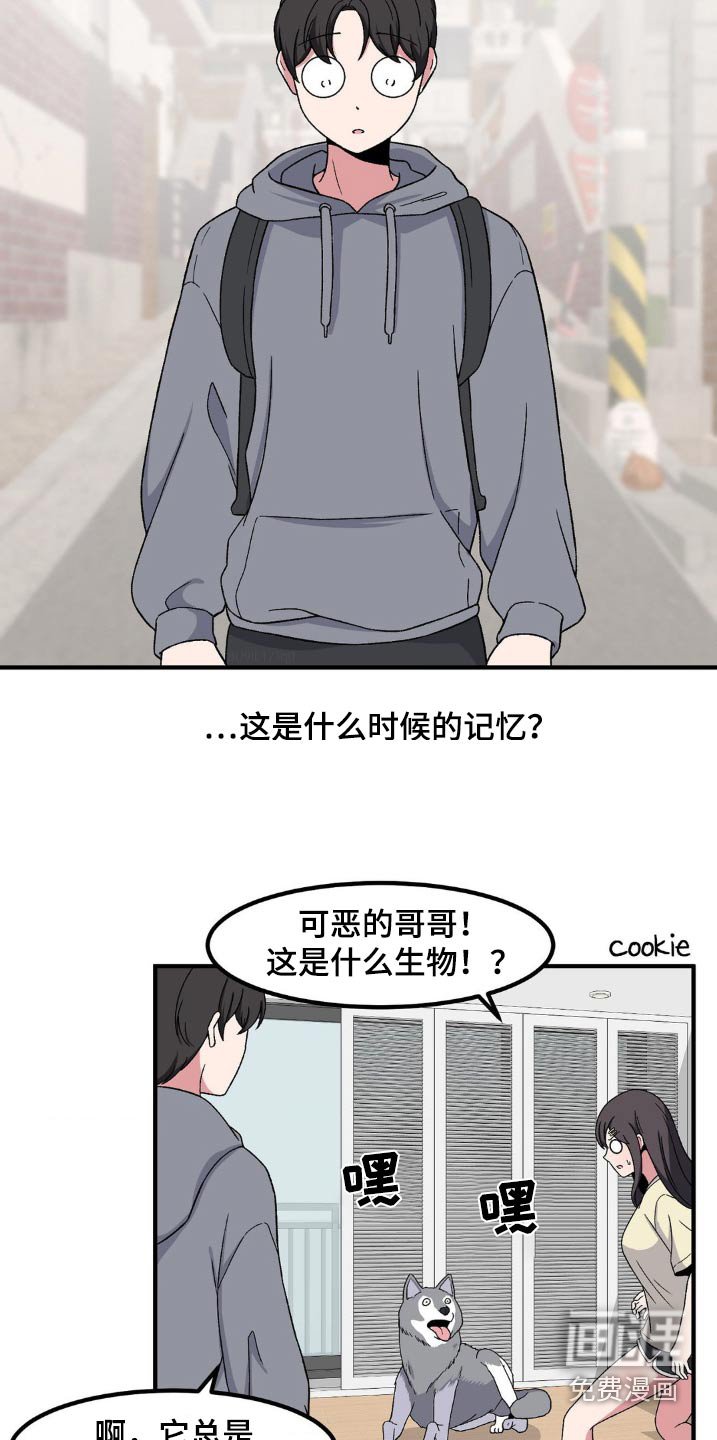 第176章：记忆