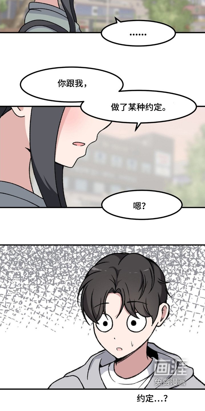 第206章：什么约定