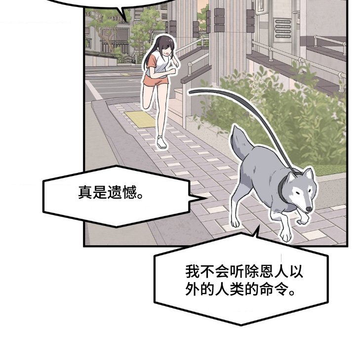 第206章：什么约定