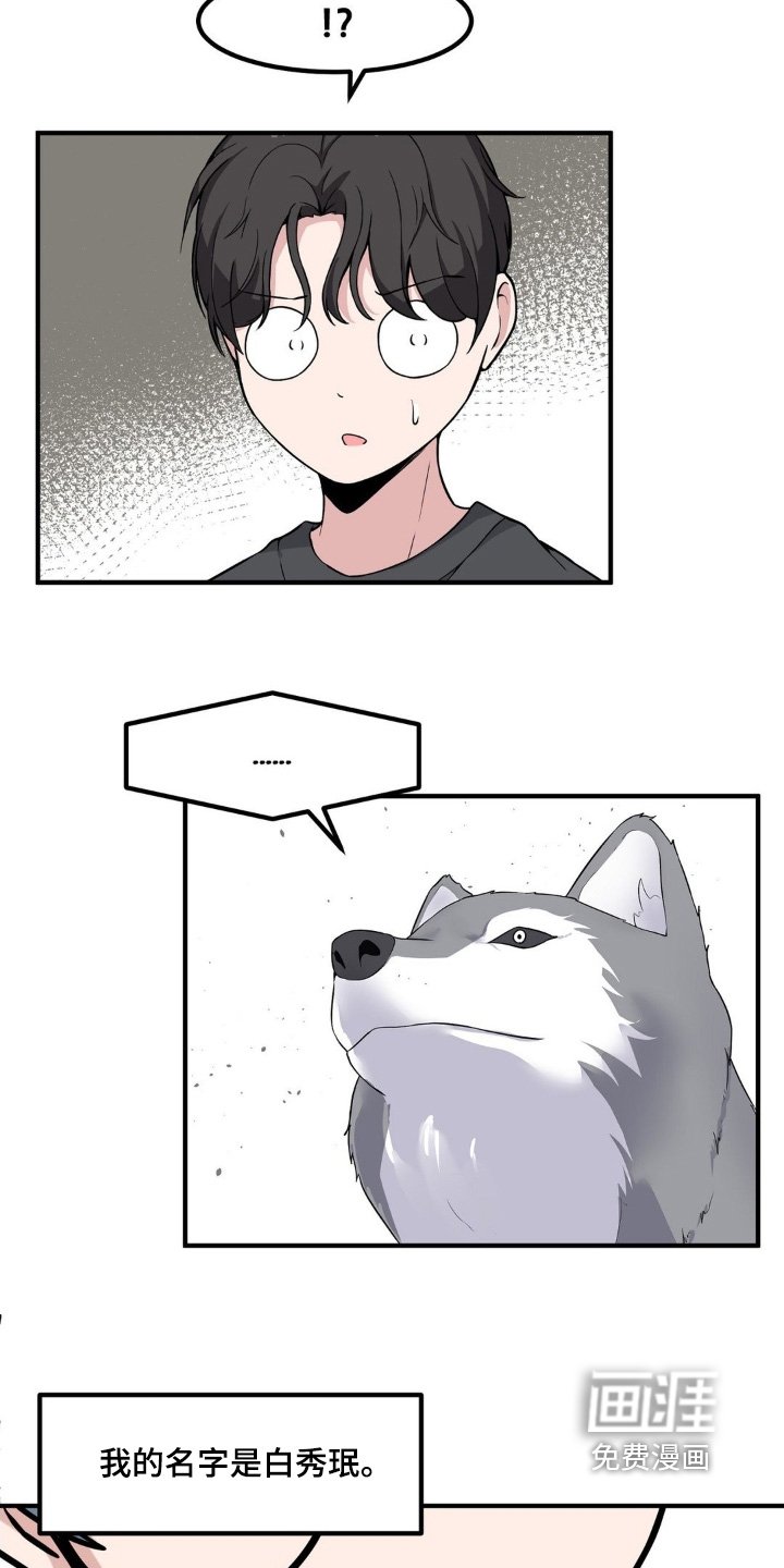 第233章：情敌