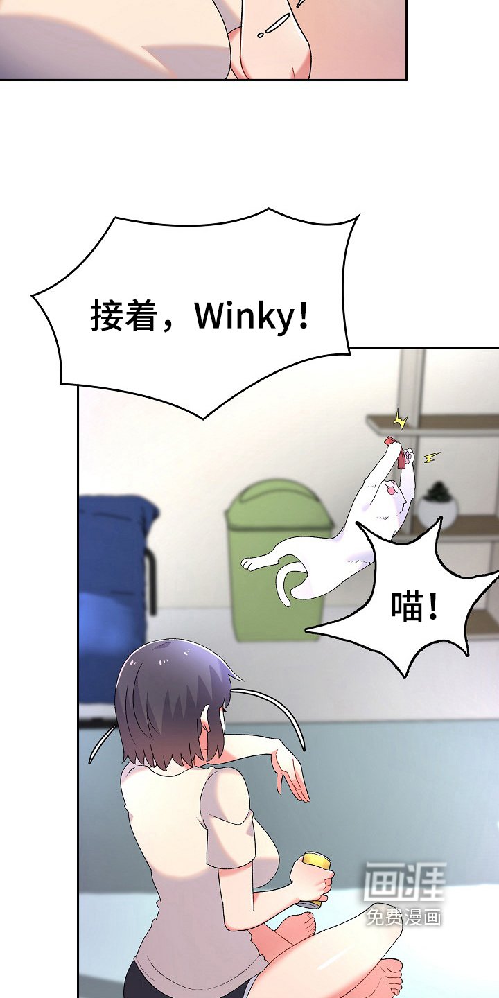 第6章：收留
