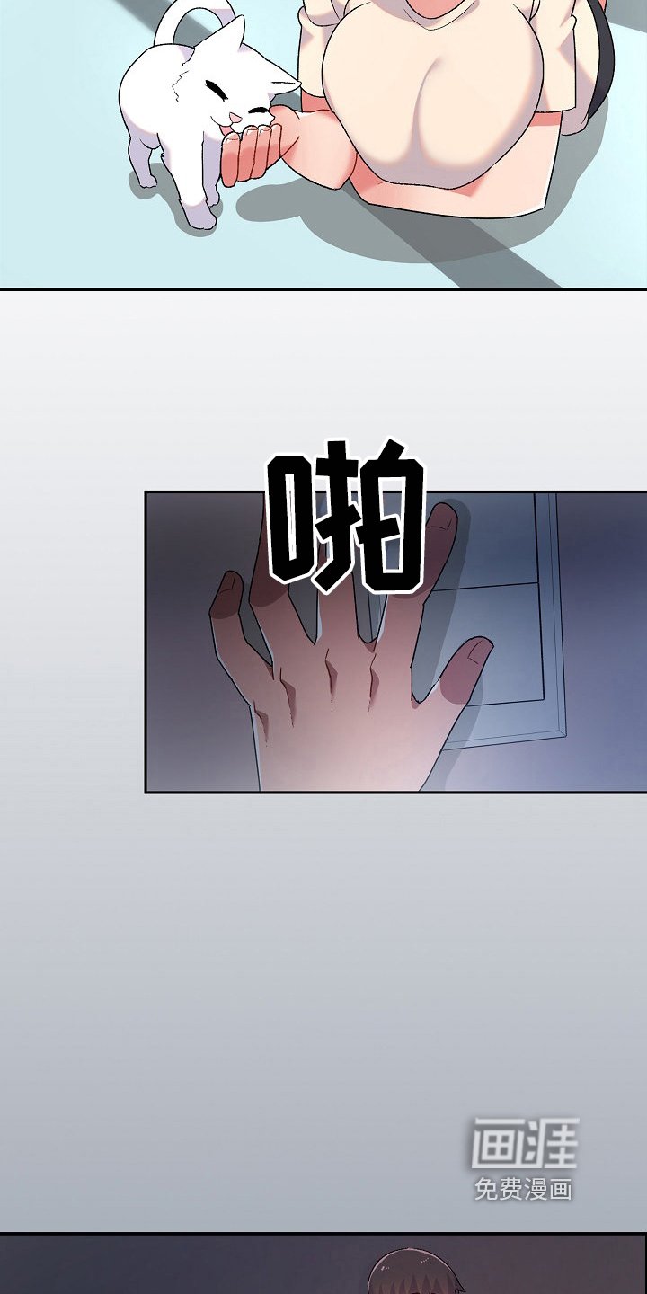第6章：收留