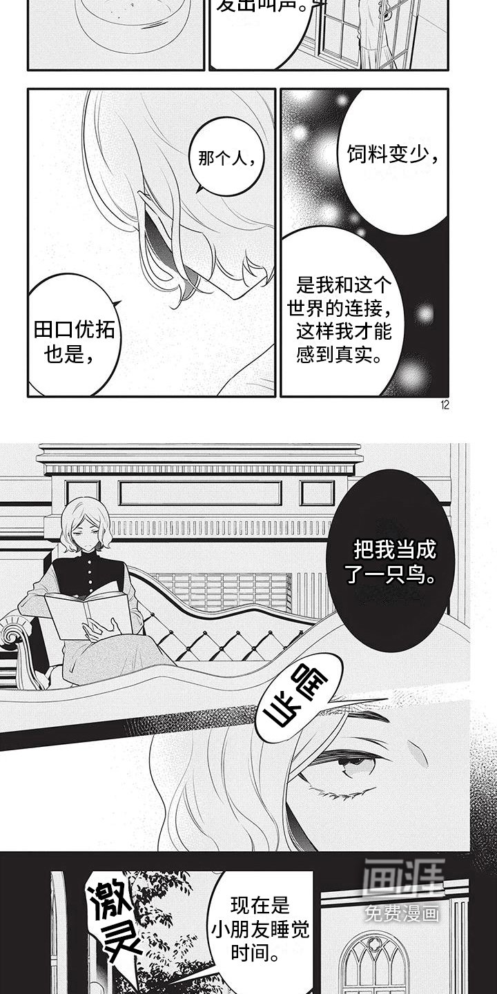 第22章：牢笼的鸟