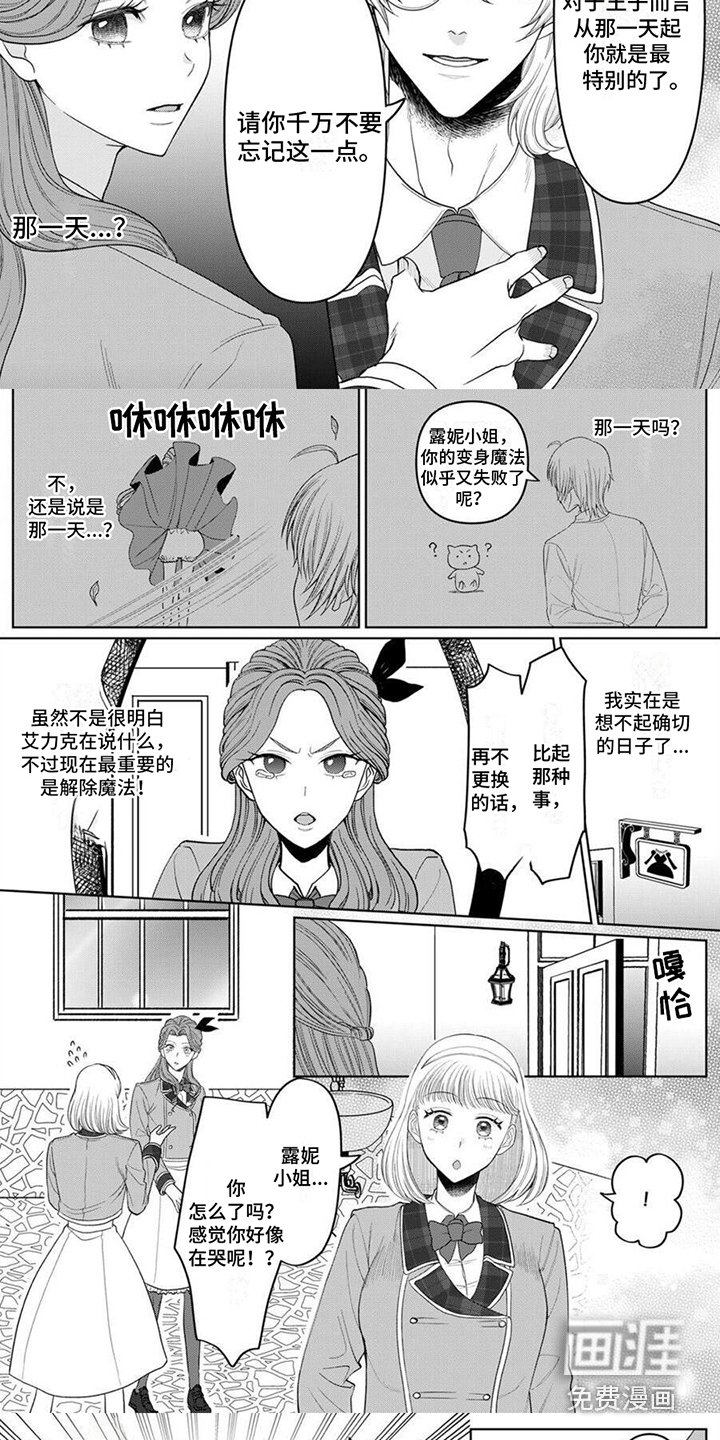 第10章：解除魔法