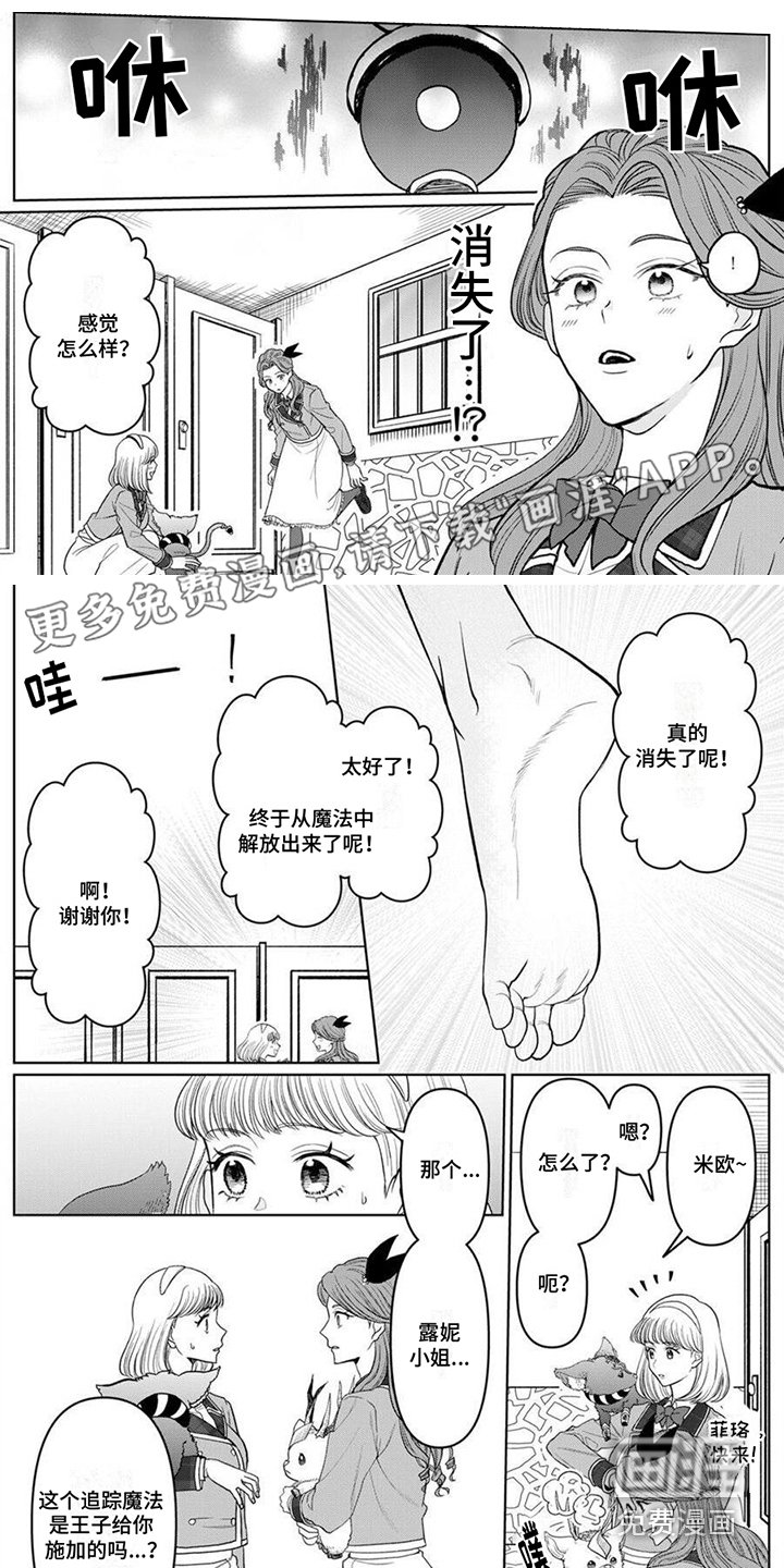 第11章：变身 