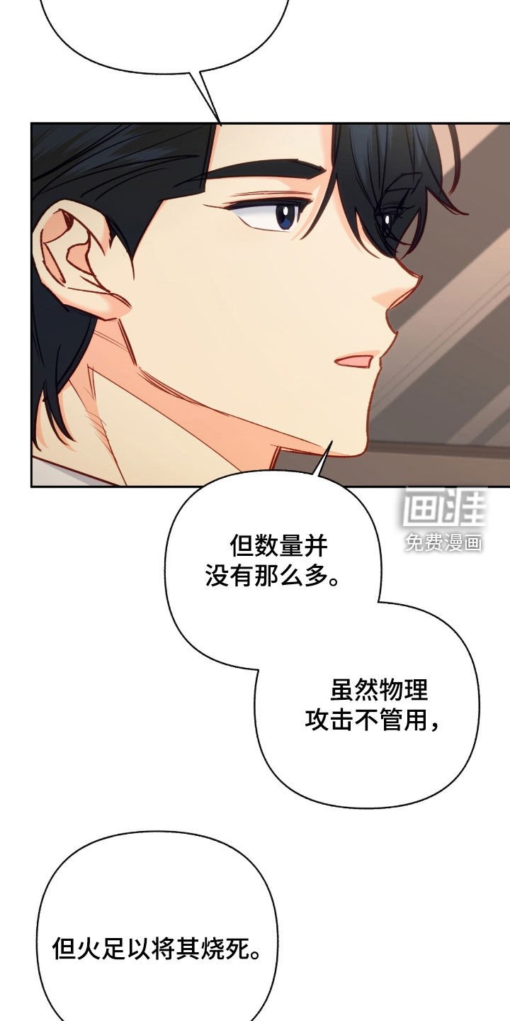 第102章：【第三季】黑石头