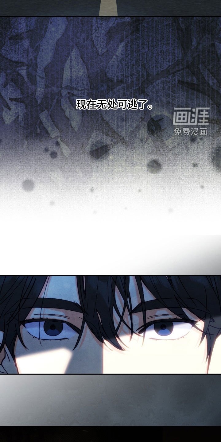 第119章：【第三季】不可能是爱情