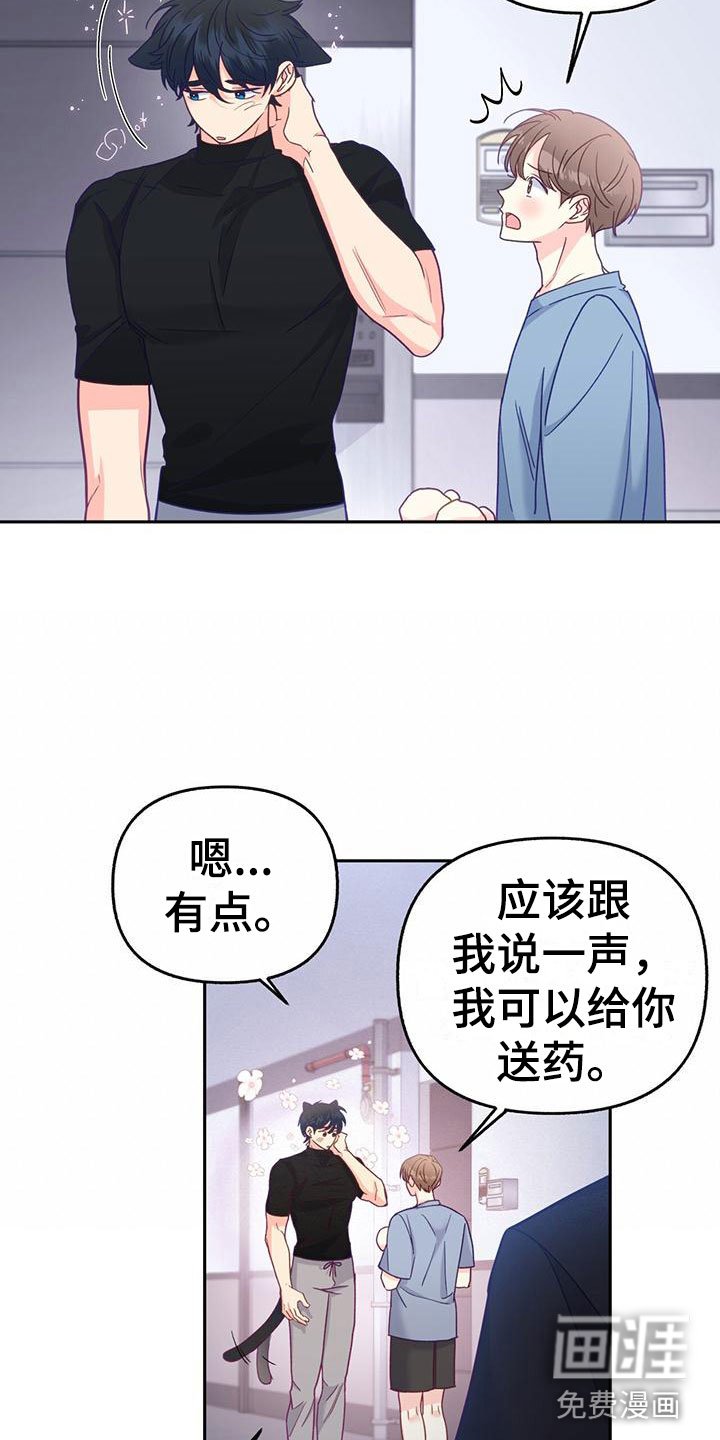 第13章：嫉妒