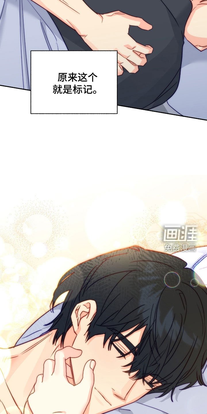 第161章：【第三季完结】我不会离开