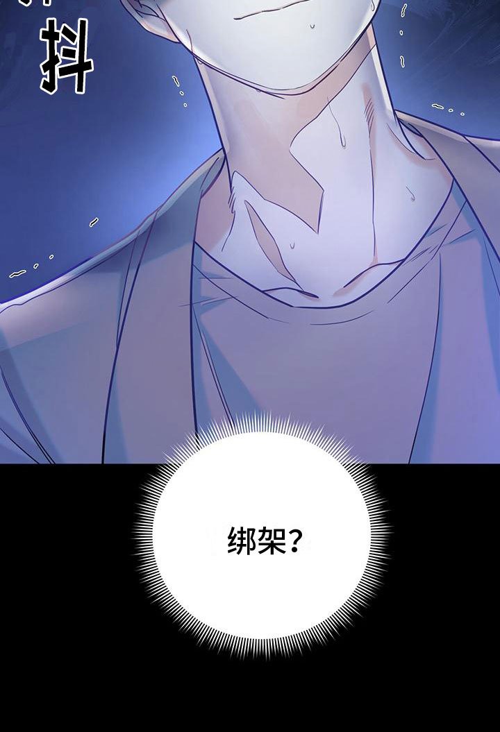 第17章：绑架