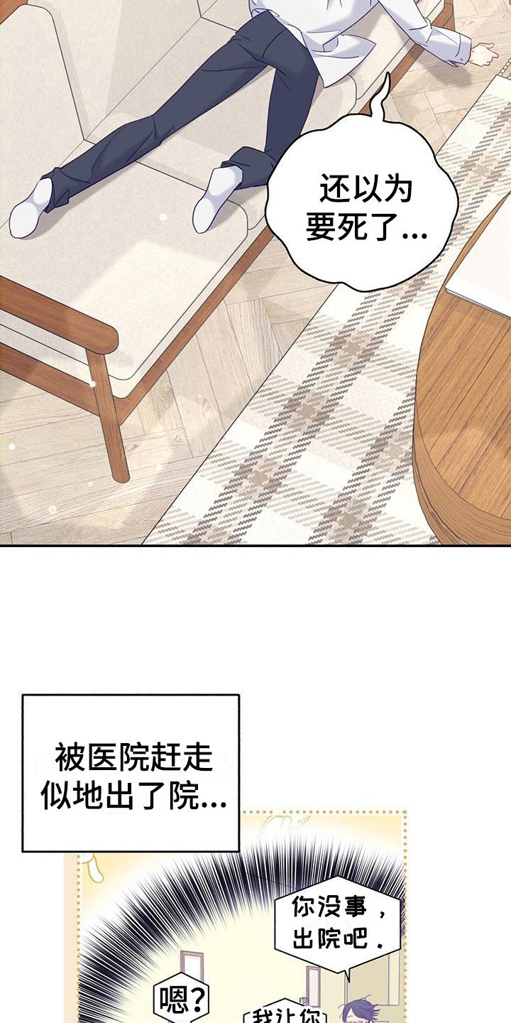 第2章：从天而降