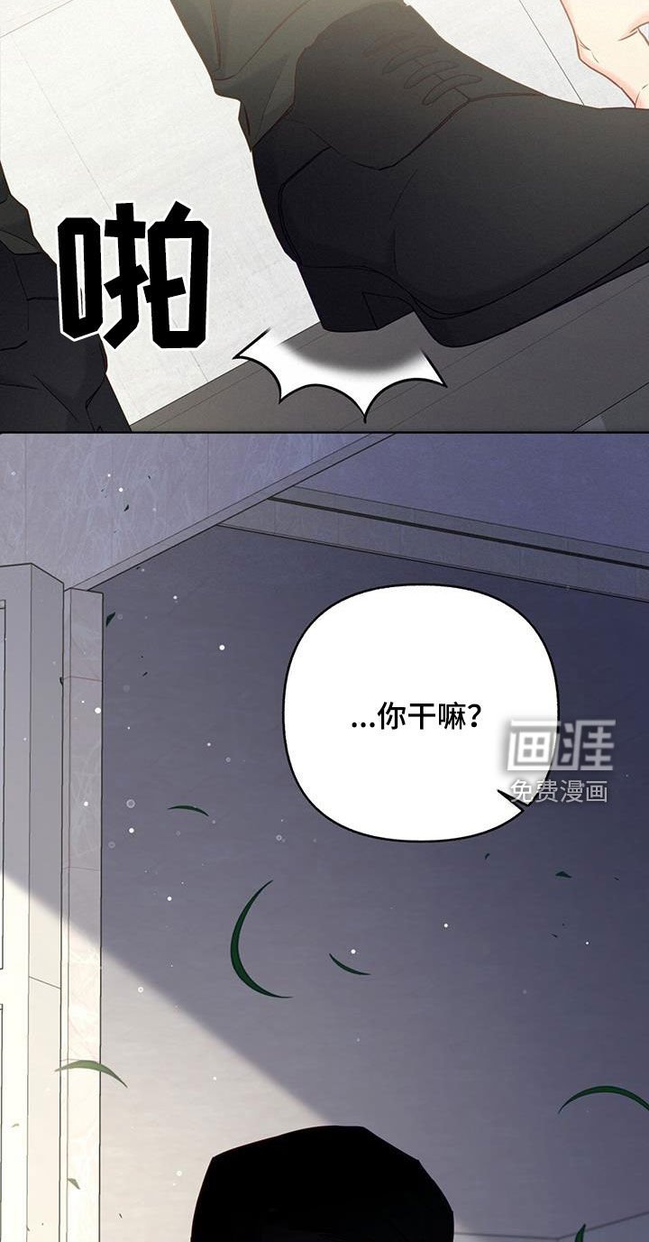 第25章：打招呼