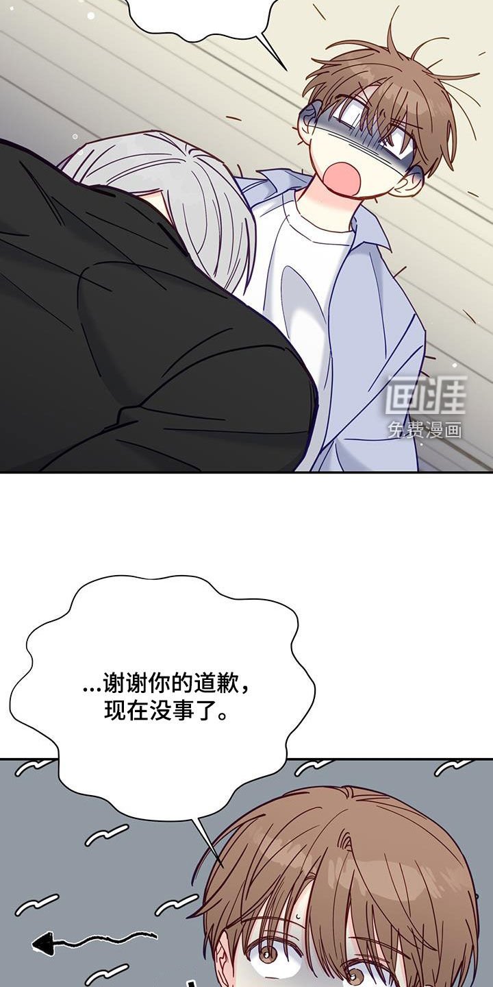 第37章：道歉