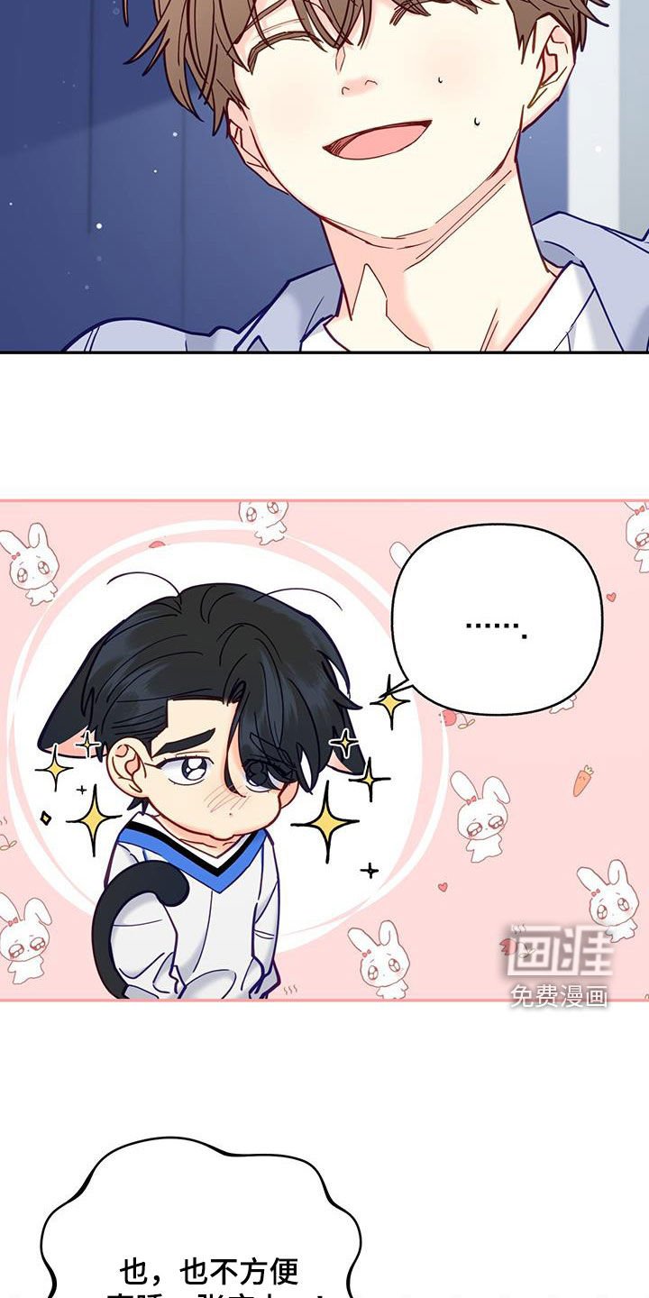第37章：道歉