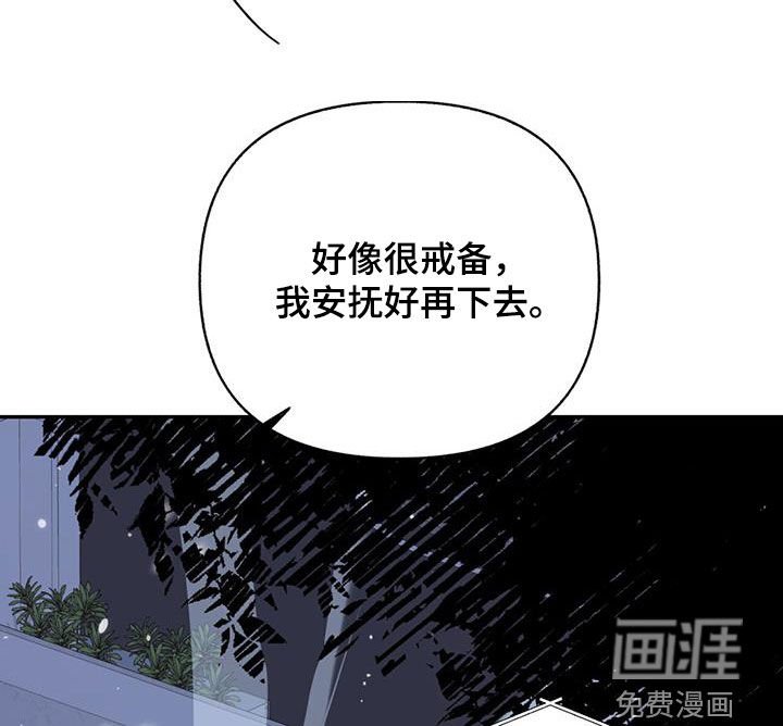 第81章：【第二季】失控