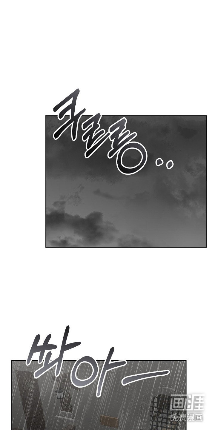 第13章：伤口愈合