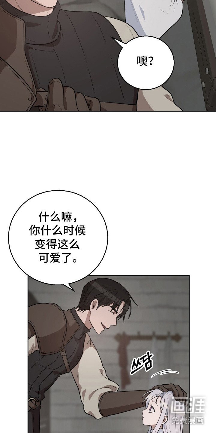 第13章：伤口愈合