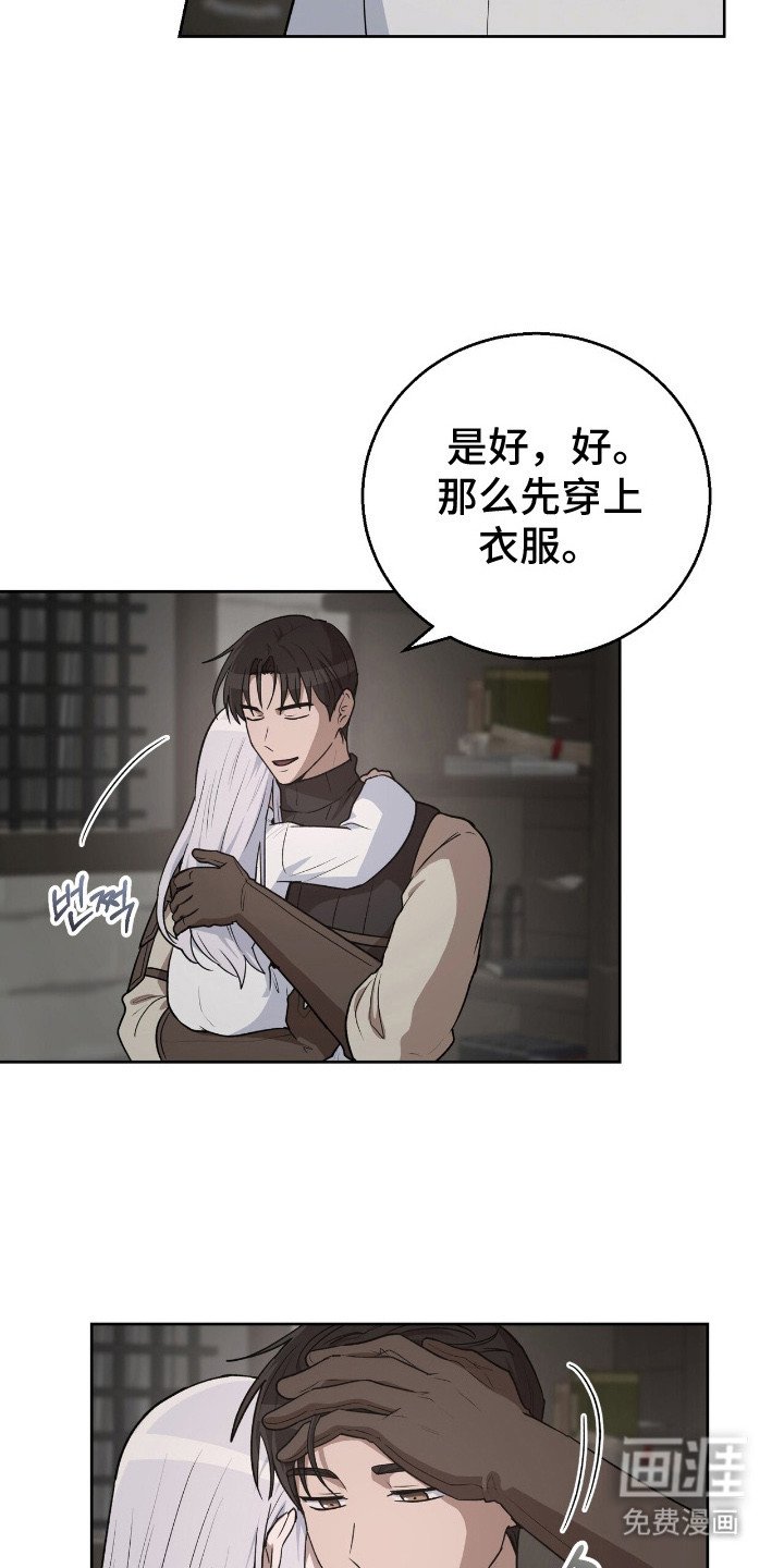 第13章：伤口愈合
