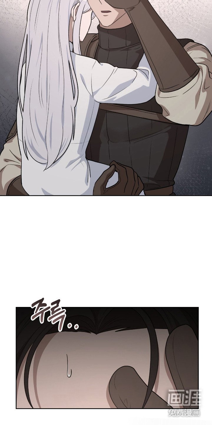 第13章：伤口愈合