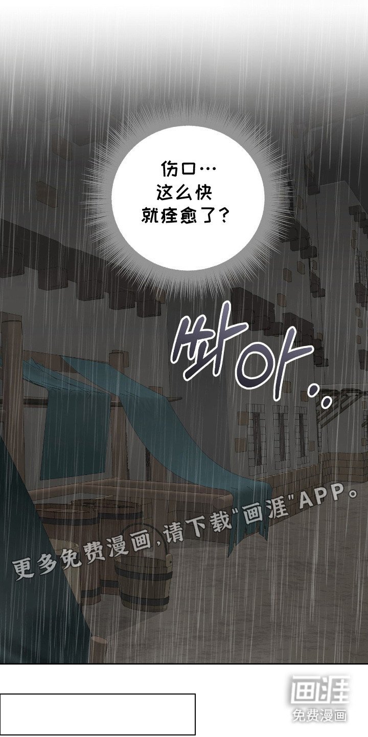第13章：伤口愈合