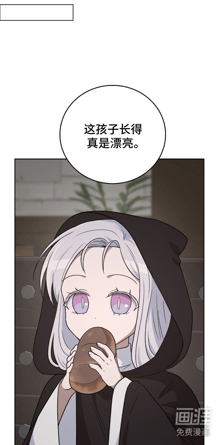 第13章：伤口愈合