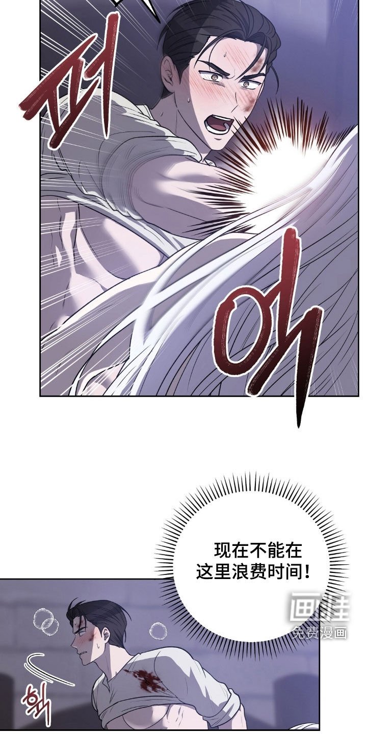 第22章：卡埃利斯