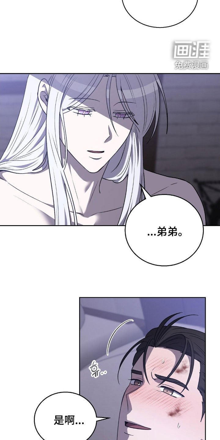第22章：卡埃利斯