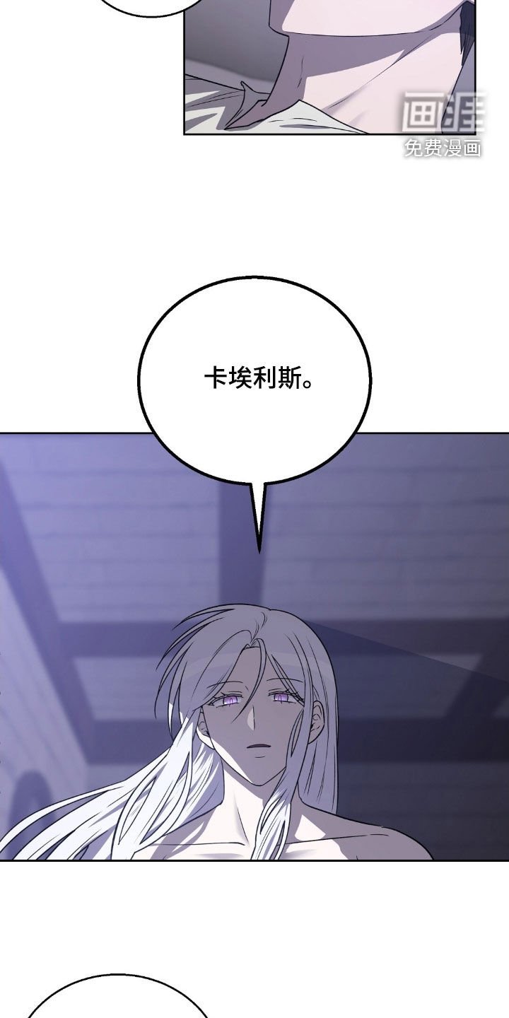 第22章：卡埃利斯