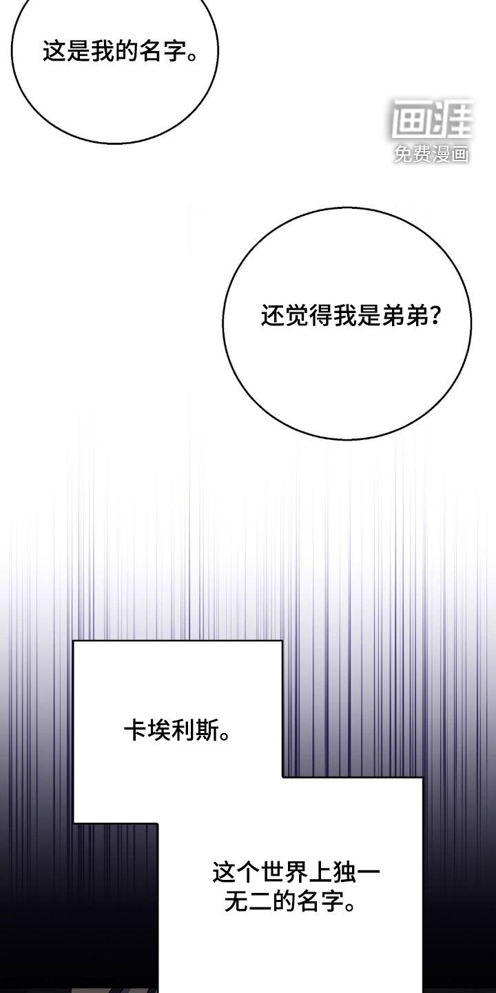 第22章：卡埃利斯