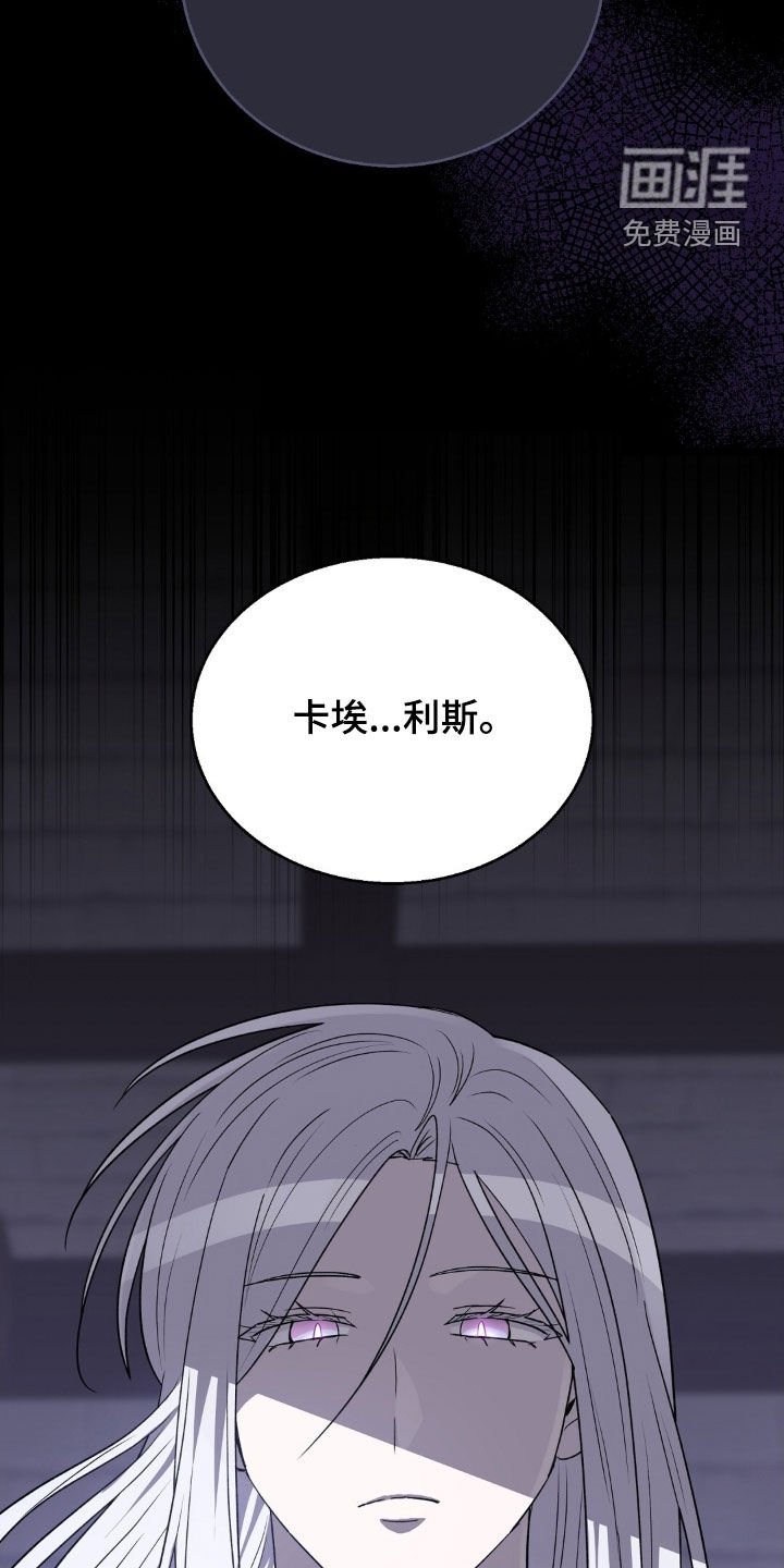 第22章：卡埃利斯