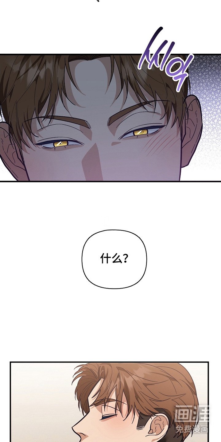 第4章：电话