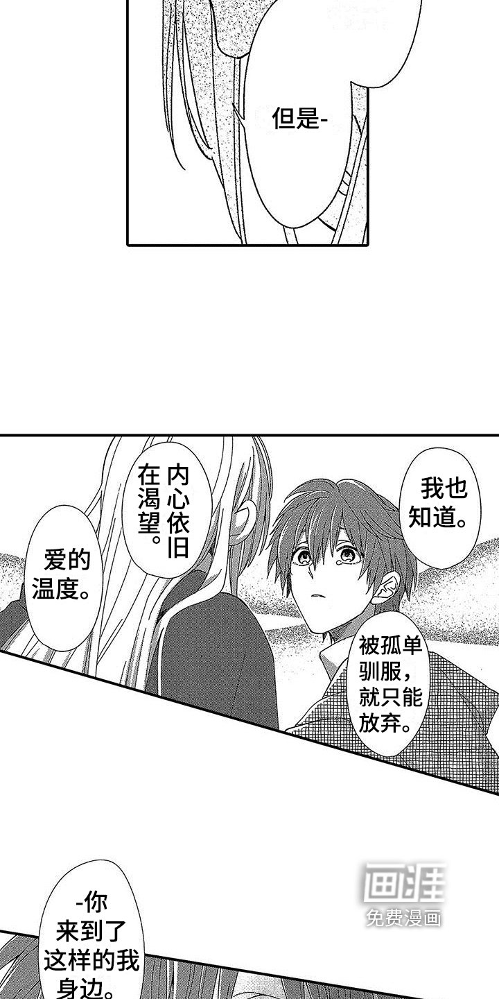 第12章：安慰