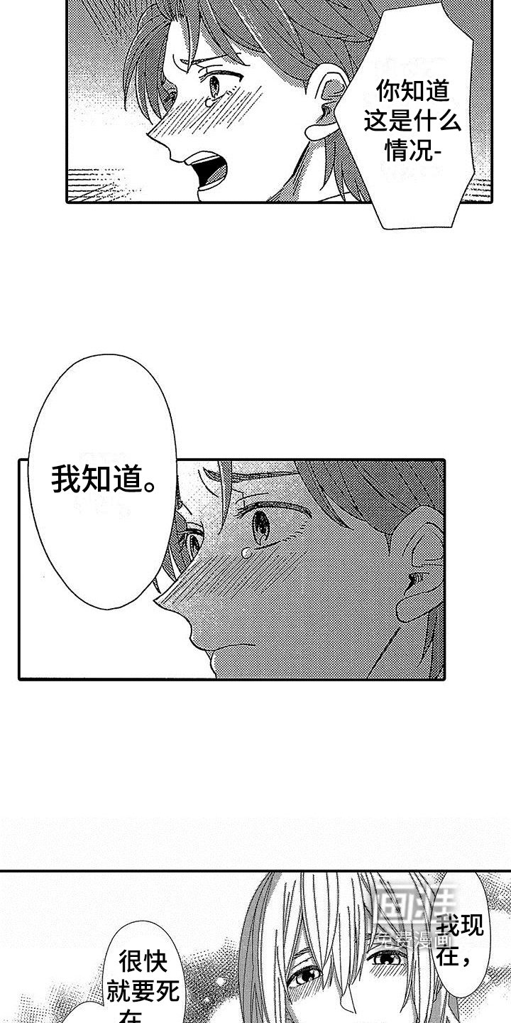 第15章：不适合做神父