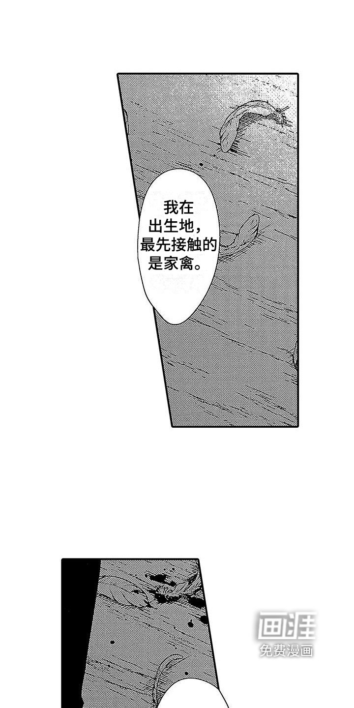 第16章：闲言碎语