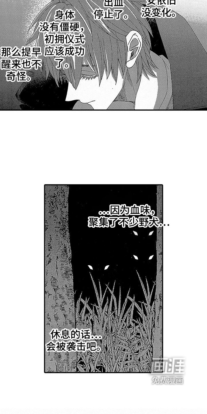 第20章：初拥