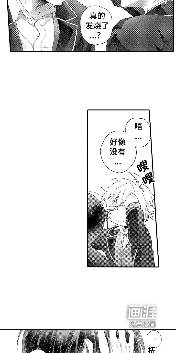 第16章：选择