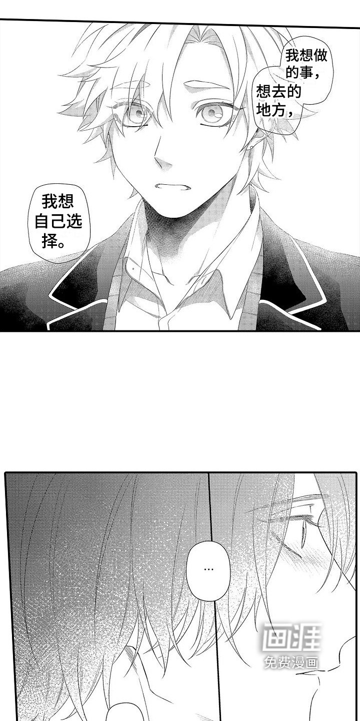 第16章：选择