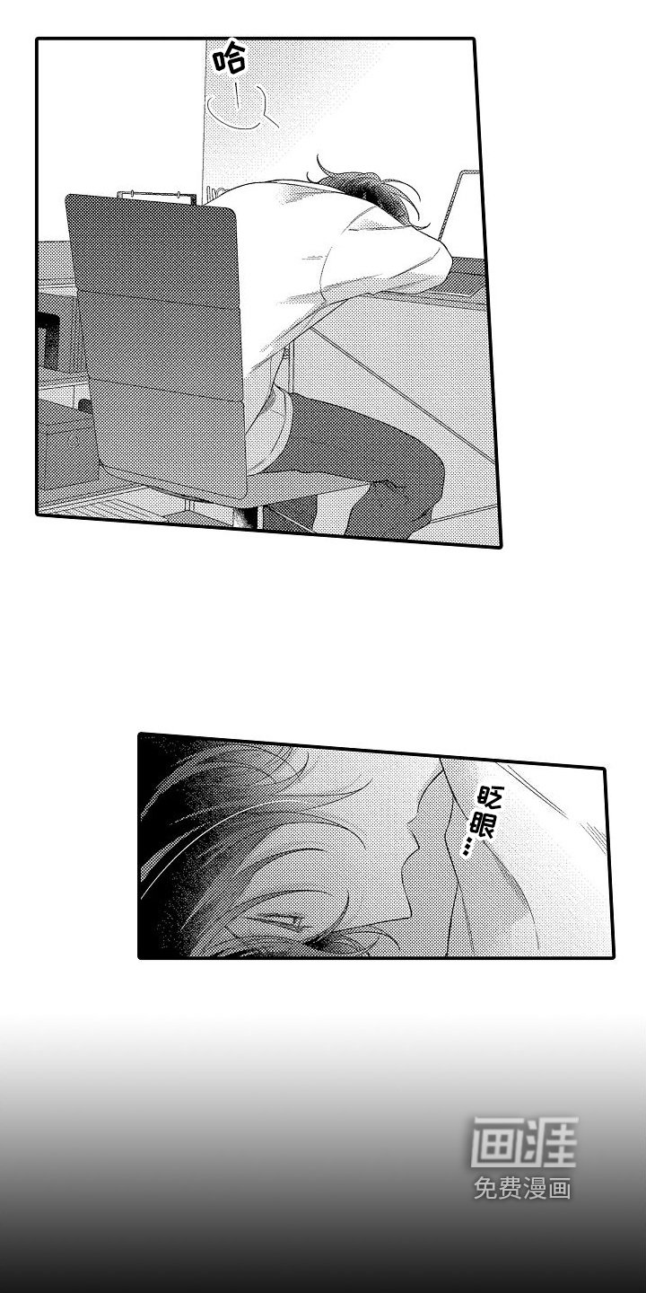 第16章：选择