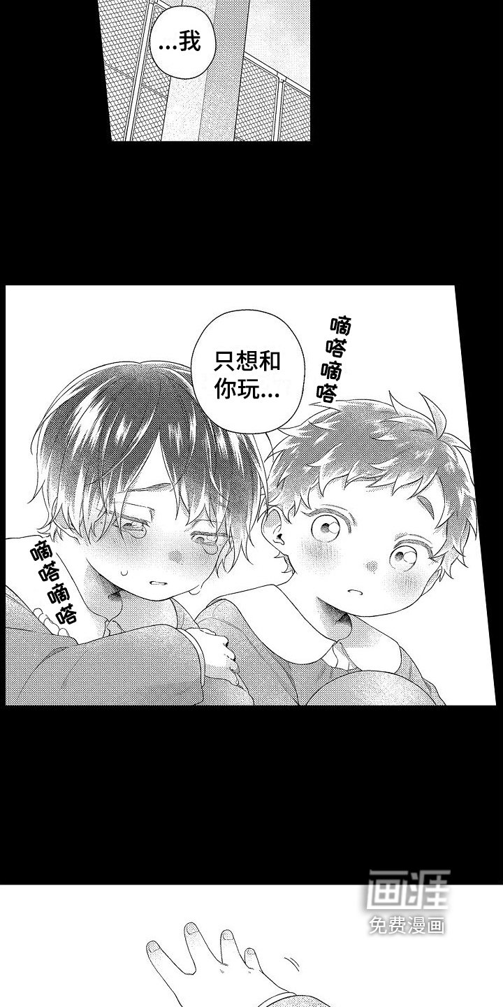 第16章：选择